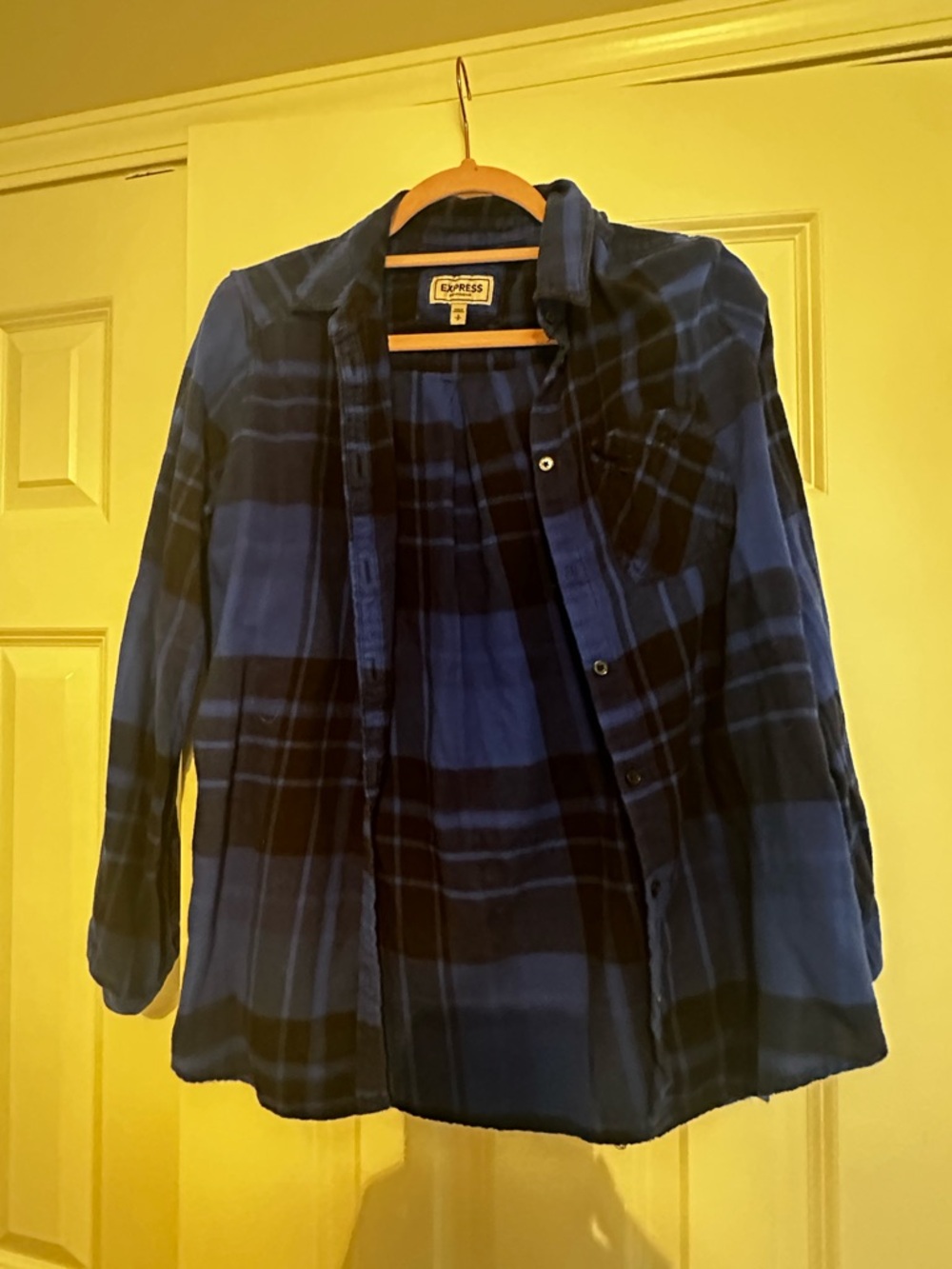 Express Boyfriend Blue and Black Plaid Shirt